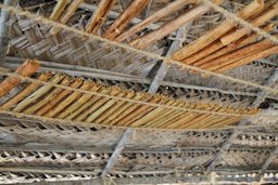 Cinnamon peels drying, Sri Lanka