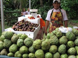 Cherimoya (Annona cherimola) on sale in Cali, Colombia.