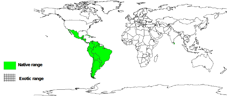 Distribution range