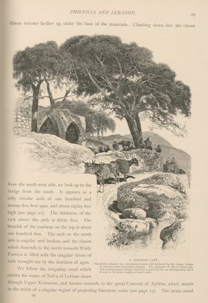 A Lebanon café. Pleasantly situated by a mountain stream and sheltered by the dense foliage of the carouba trees (Ceratonia siliqua).