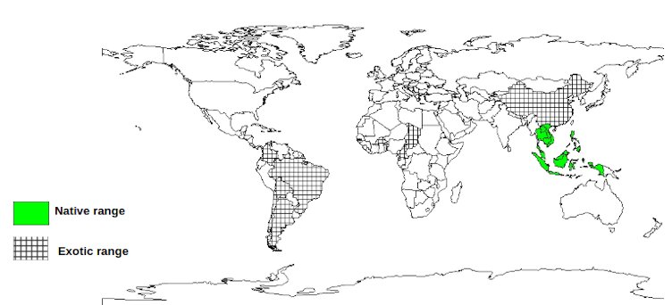 Documented Species Distribution