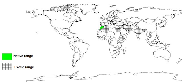 Documented Species Distribution