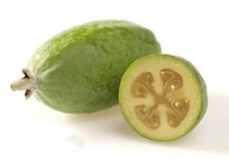 Feijoa