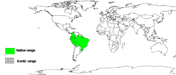 Documented Species Distribution