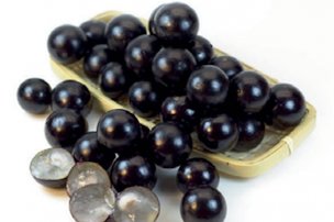 Jaboticaba