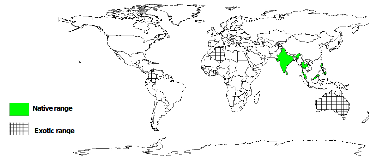 Documented Species Distribution