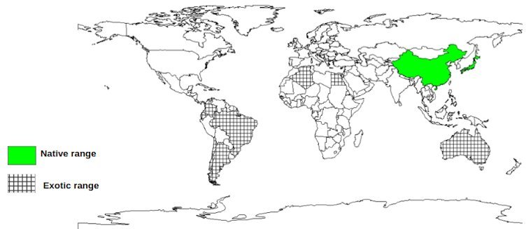 Documented Species Distribution