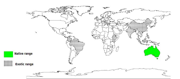 Documented Species Distribution