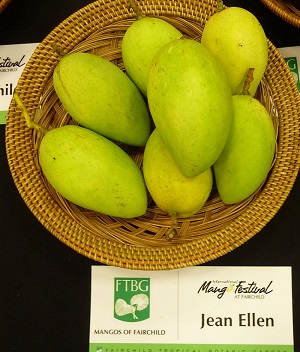 'Jean Ellen'