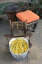 Silk cocoons and spool at Jim Thompson House