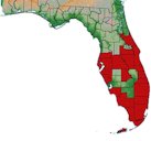 2004 distribution of the papaya fruit fly, Toxotrypana curvicauda Gerstaecker, in Florida.