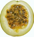 Passion fruit on white background