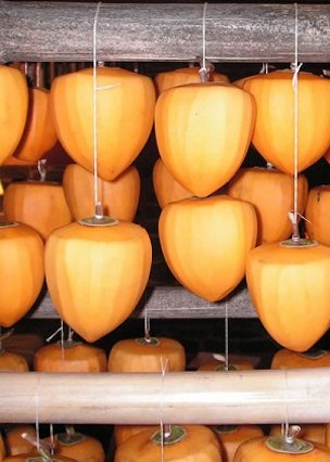 Hanging Persimmons