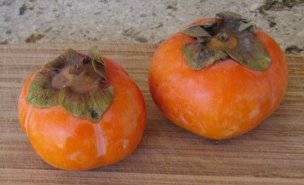 Fuyu persimmons