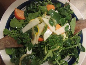 Fuyu slices in salad with watercress and shaved white turnip