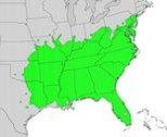 Range distribution map of Diospyros virginiana