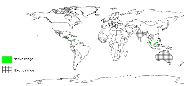 Documented Species Distribution