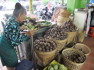 Bahasa Indonesia: Penjual salak Pondoh