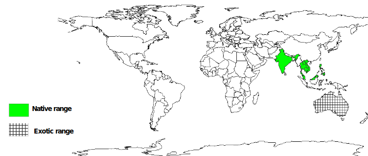 Documented Species Distribution