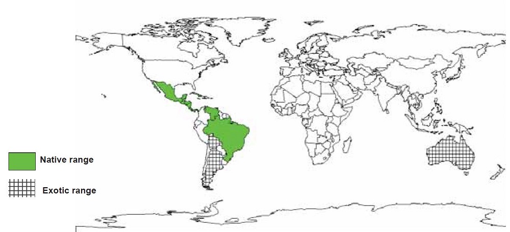 Documented Species Distribution