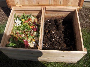 Compost bin