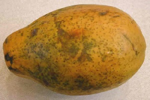 Papaya fruit