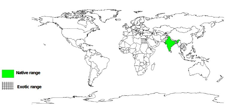 Documented Species Distribution