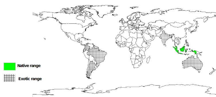 Documented Species Distribution