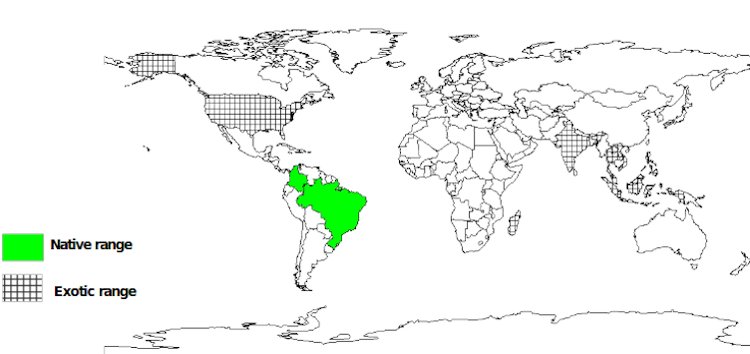 Documented Species Distribution