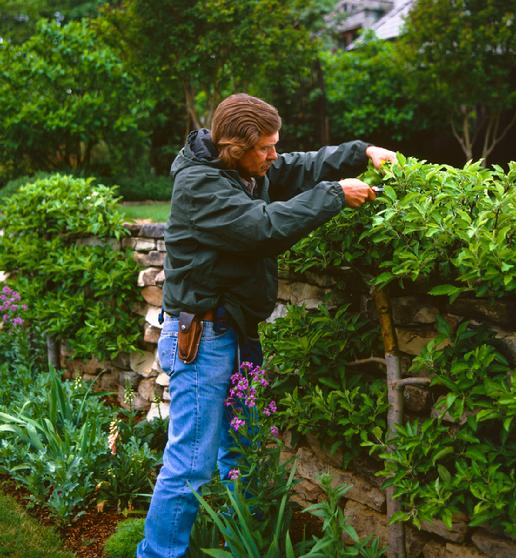 Peter Thevenot, Espalier Master