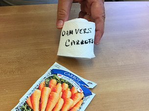 Roll up and label your seed tape for storage.