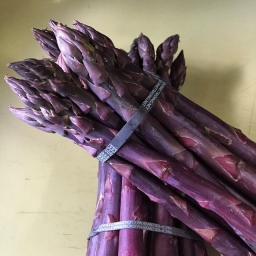 Purple Asparagus