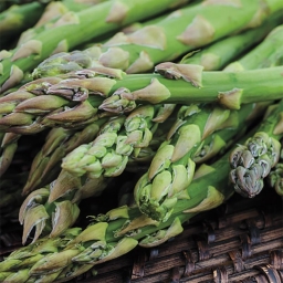 Jersey Supreme Asparagus