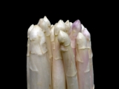 Pointes d'asperges blanches d'Alsace (Hoerdt)