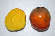 A yellow garden beetroot