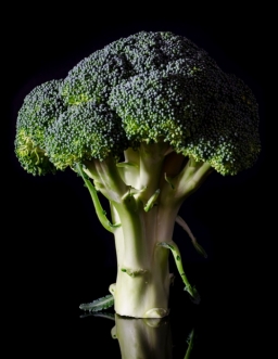 Broccoli