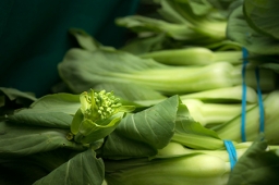 Shanghai bok choy in a California farmers' market