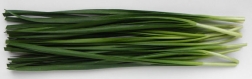 Cut Garlic Chives