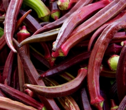 Bowling Red Okra