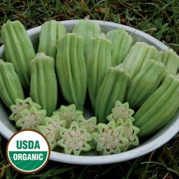 Star of David Okra