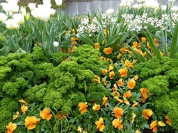 Parkomanie. Die Gartenlandschaften des Fürsten Pückler