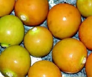 Poha fruit